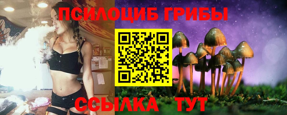 Псилоцибиновые грибы Psilocybe  Вход с VPN  Дальнереченск 