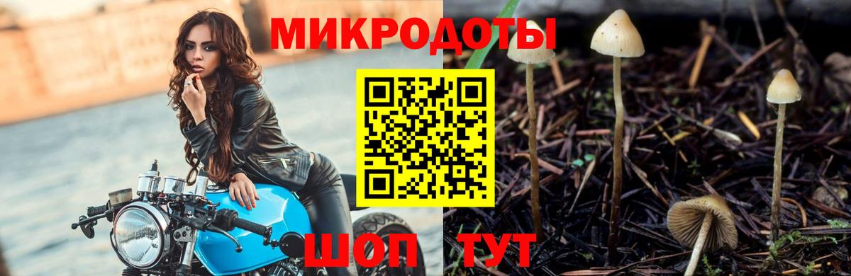 Галлюциногенные грибы ЛСД Дальнереченск